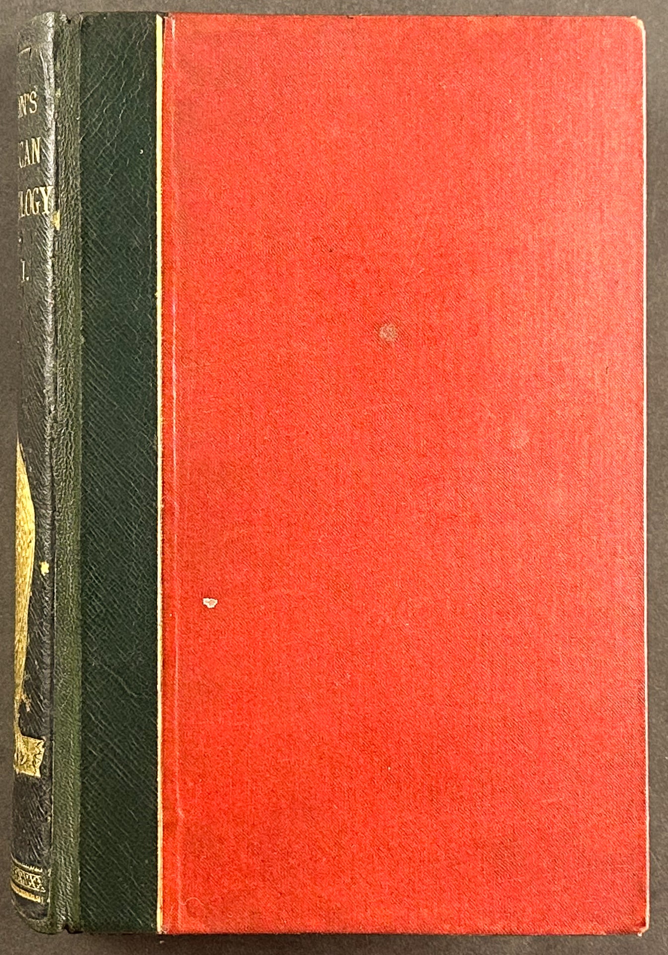 American Ornithology; or the Natural History of the Birds of the United States
